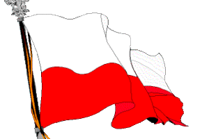 Duza-flaga-Polski
